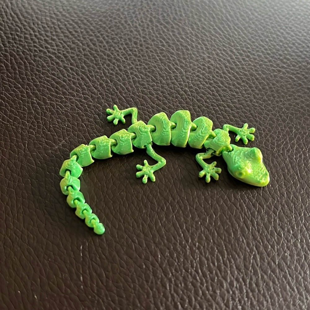 New 3D Lizard